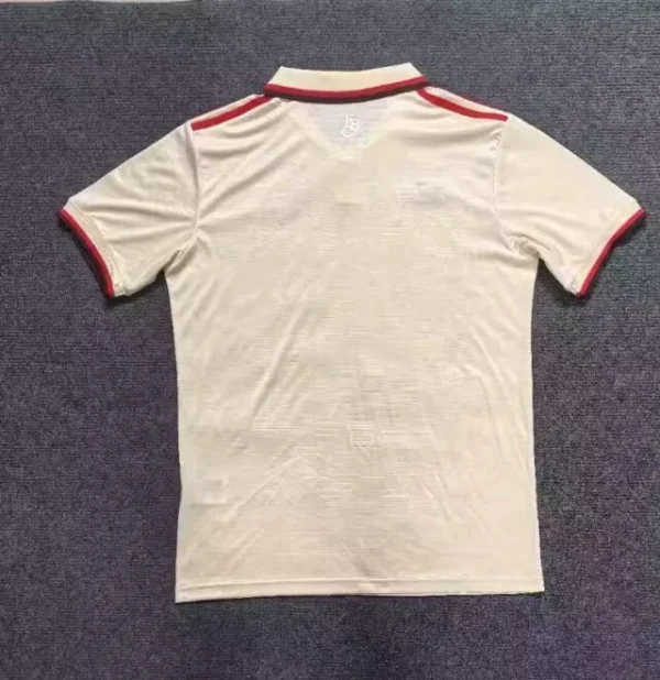 24 25 bayern munich third away soccer jersey