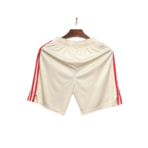 24 25 bayern munich third soccer shorts