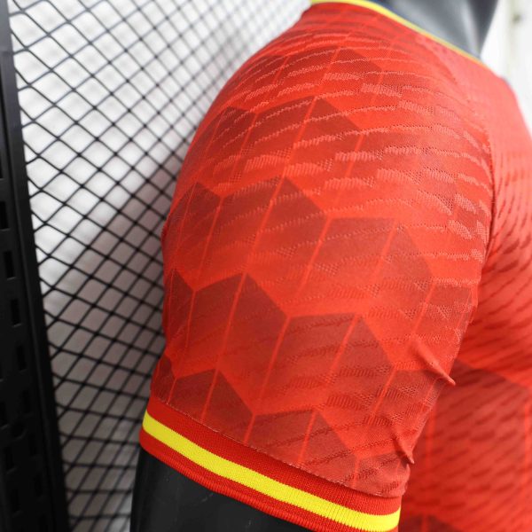 24-25 Player Spain Special Edition Soccer Jersey - Image 5