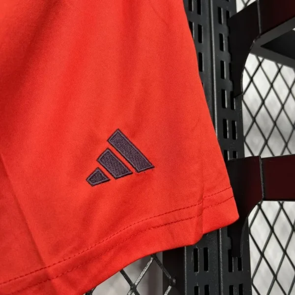 24 25 bayern munich home soccer shorts