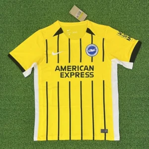 2024/25 brighton & hove albion away jersey