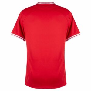 poland away jersey euro 2024 qualifiers