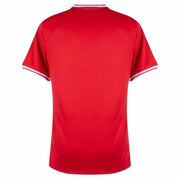 poland away jersey euro 2024 qualifiers