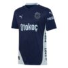 fenerbahce third jersey 2024 2025