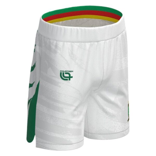 cameroon 2025 2026 third kids kit jersey