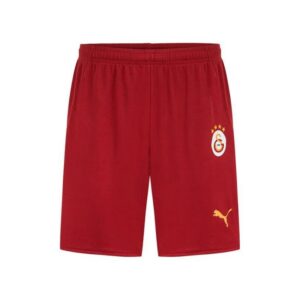 galatasaray children’s away kit jersey 2024 2025