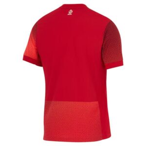 poland away jersey 2024 2025