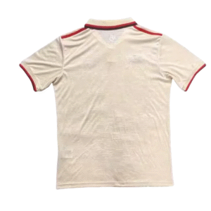 24 25 bayern munich third away soccer jersey