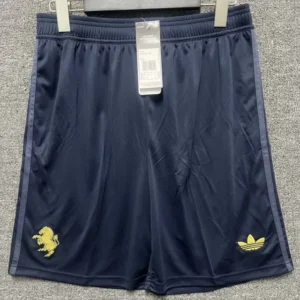2024 25 juventus third kit(jersey+shorts)
