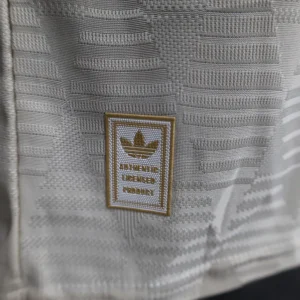 24 25 bayern munich third away player version