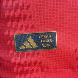 24 25 bayern munich home player version soccer jersey